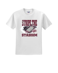 Montana Grizzlies Stripe The Stadium S/S Tee 29MSS25